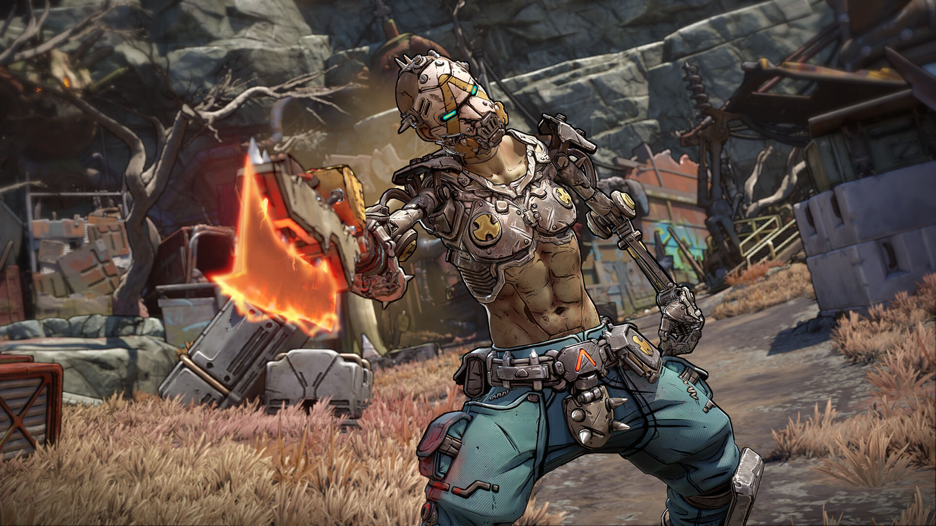 Borderlands 4 won’t be $80 after all